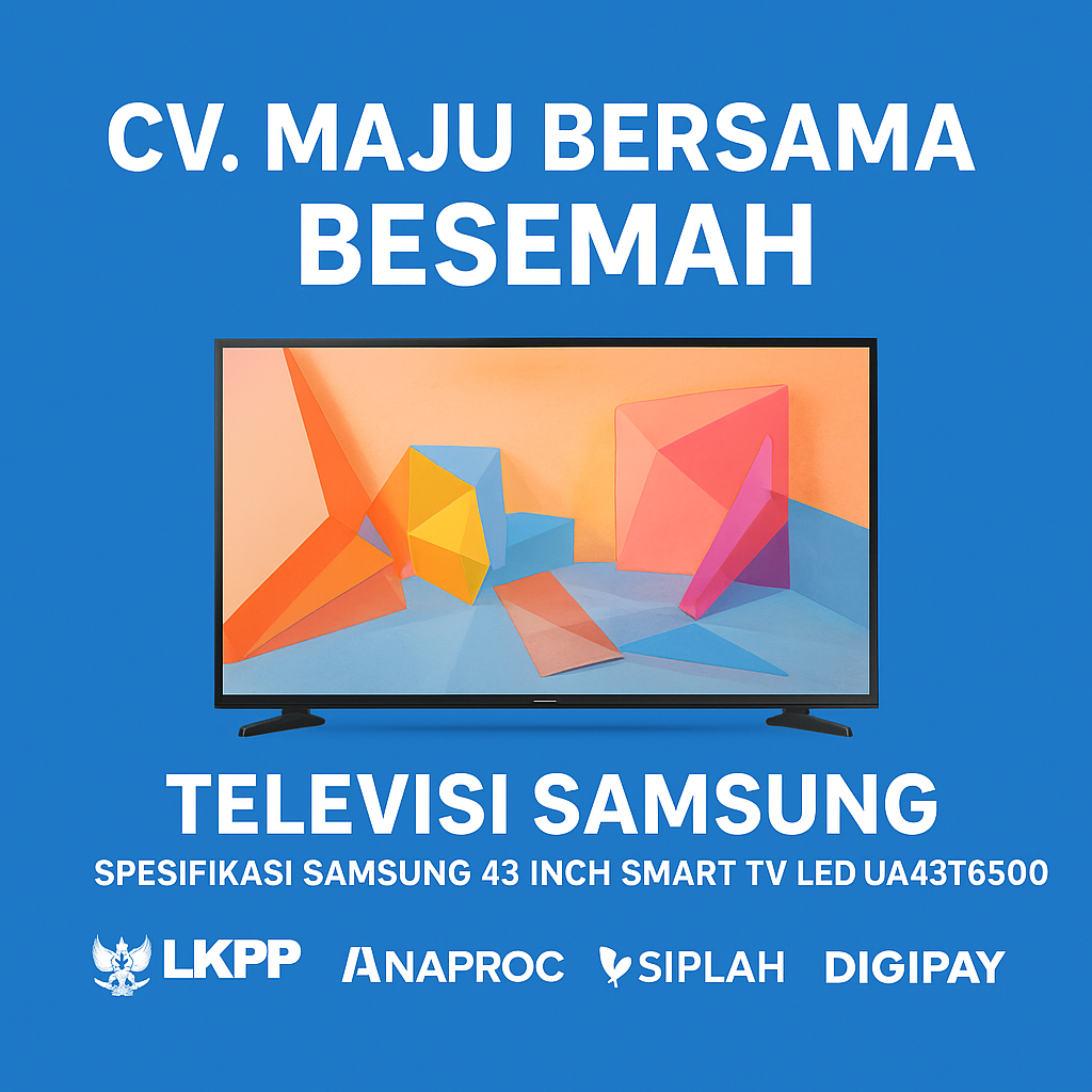 TELEVISI