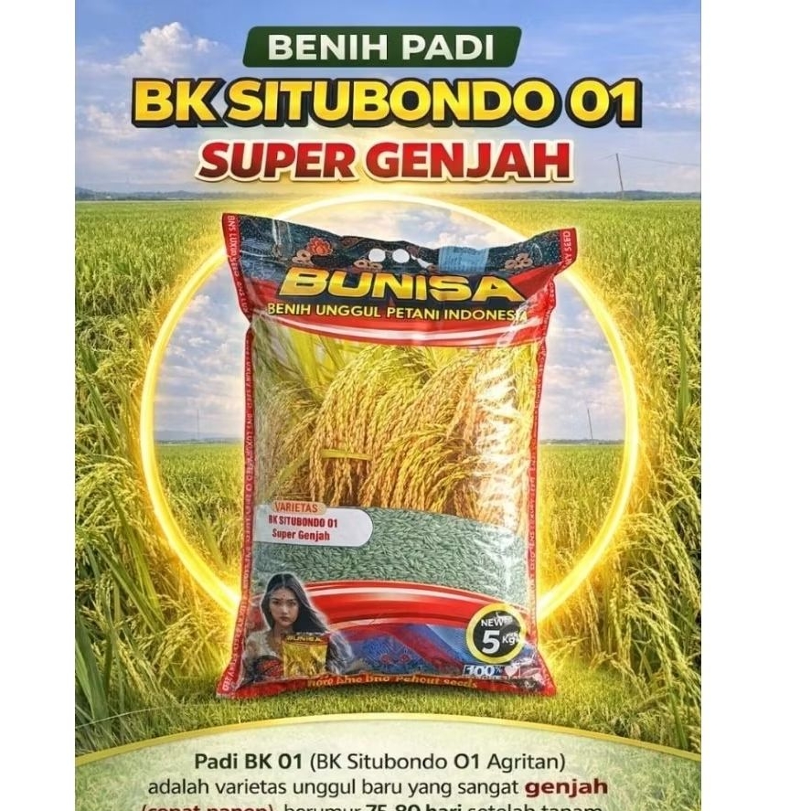 Benih padi BK SITUBONDO 01 agritan 75hst 5kg