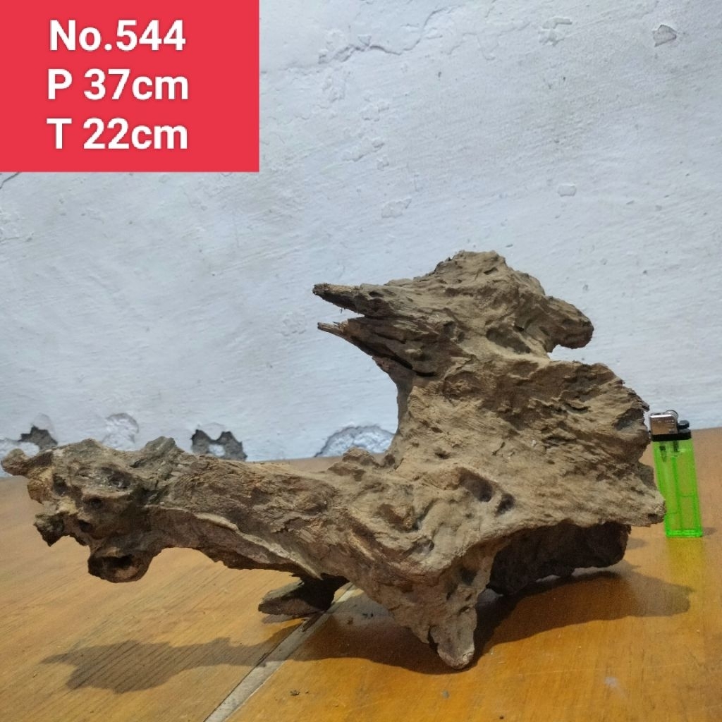 kayu santigi laut akar santigi laut dekorasi aquascape aquarium 544