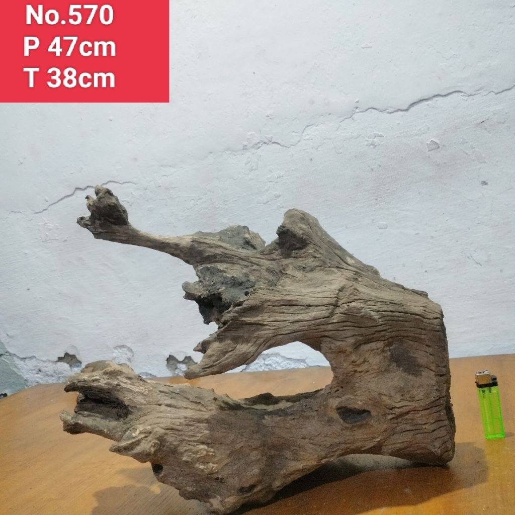 bonggolan akar santigi laut kayu dekorasi aquascape aquarium 570