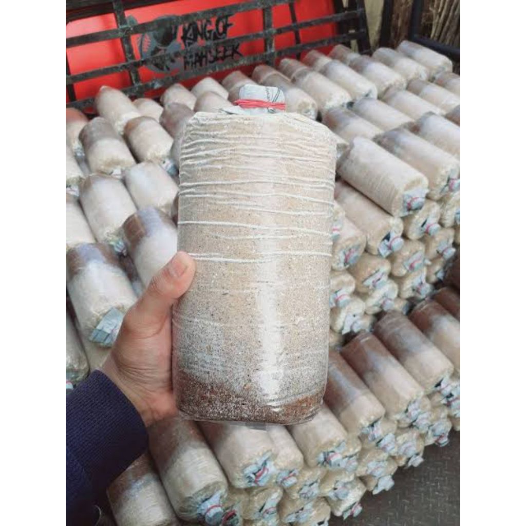 Media Tanam Jamur Tiram Putih - Baglog Jamur Varian 500g Siap Panen