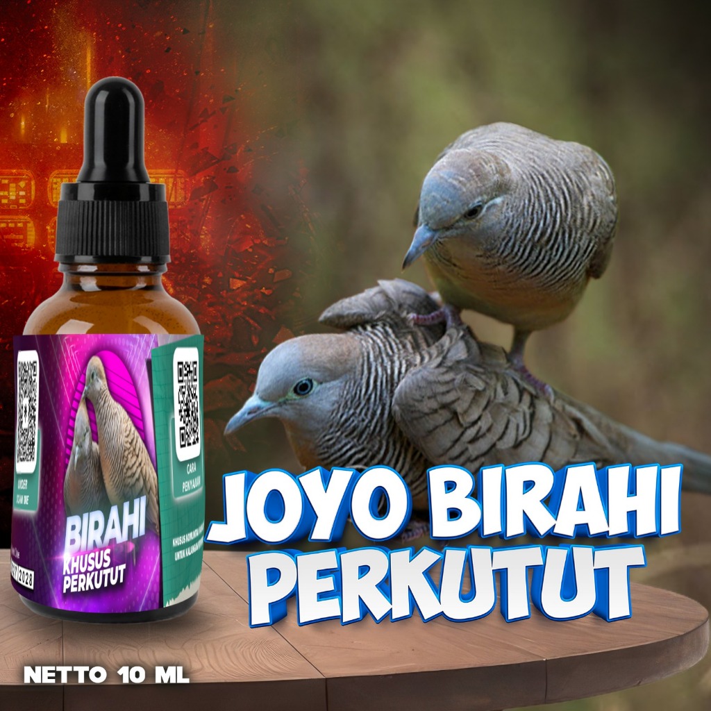 OBAT BURUNG PENDONGKRAK BIRAHI PERKUTUT | VITAMIN BURUNG PENDONGKRAK BIRAHI TESTOTERON & ESTEROGEN |
