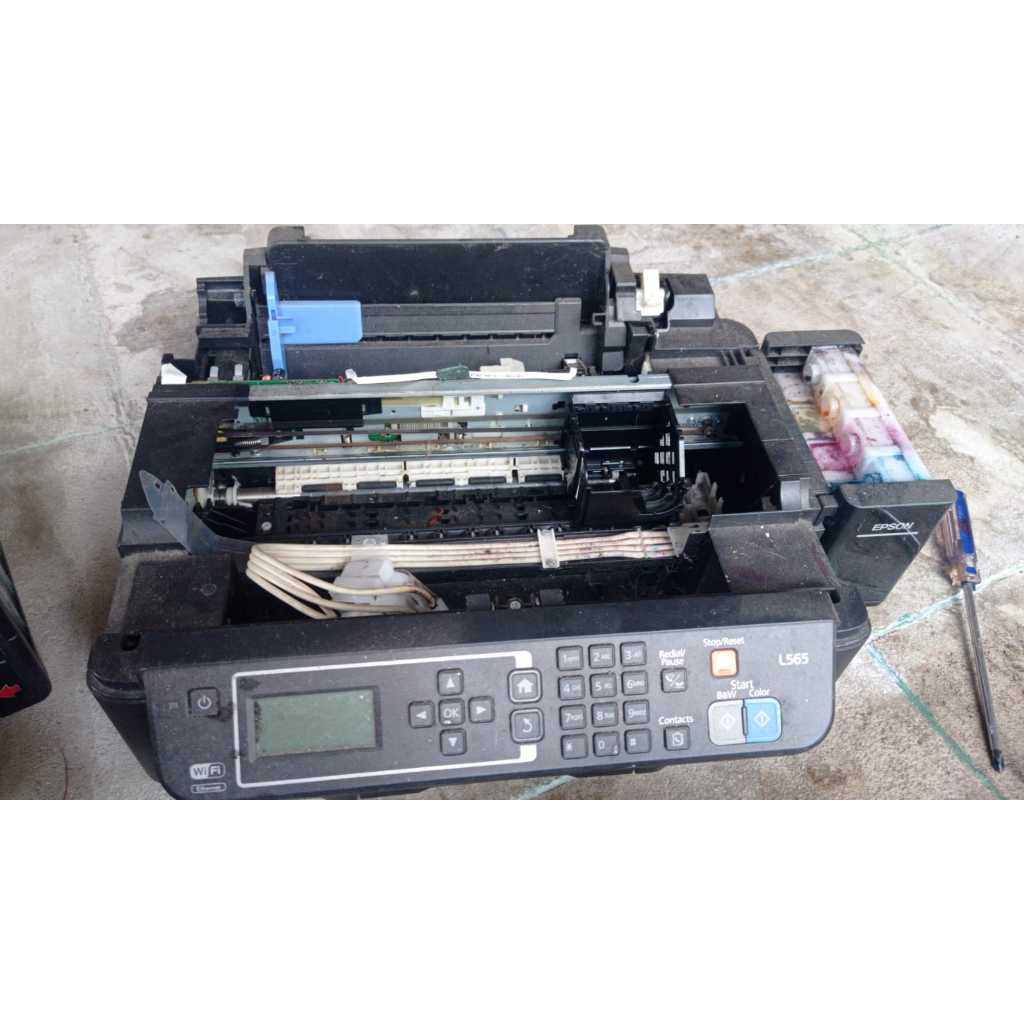 scanner Epson l565