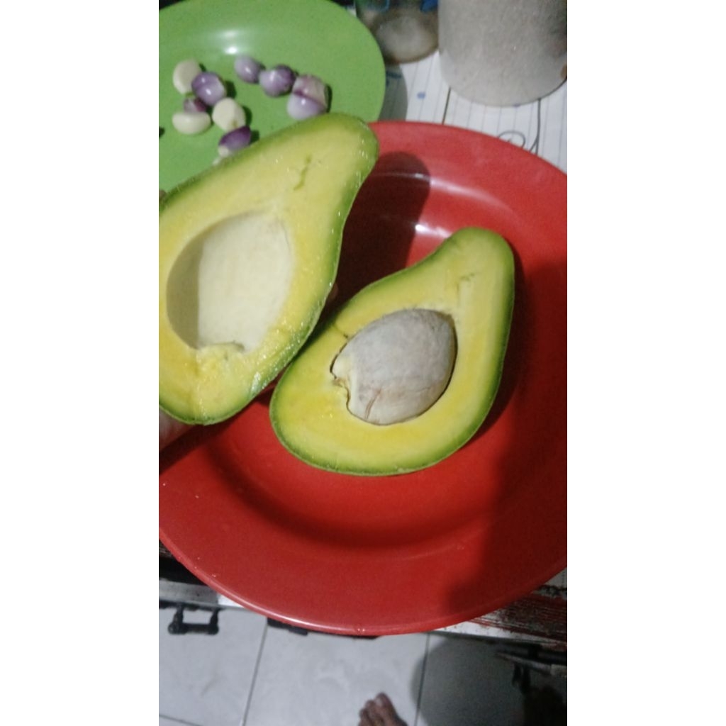 Alpukat Mentega Premium Lampung Timur Siger