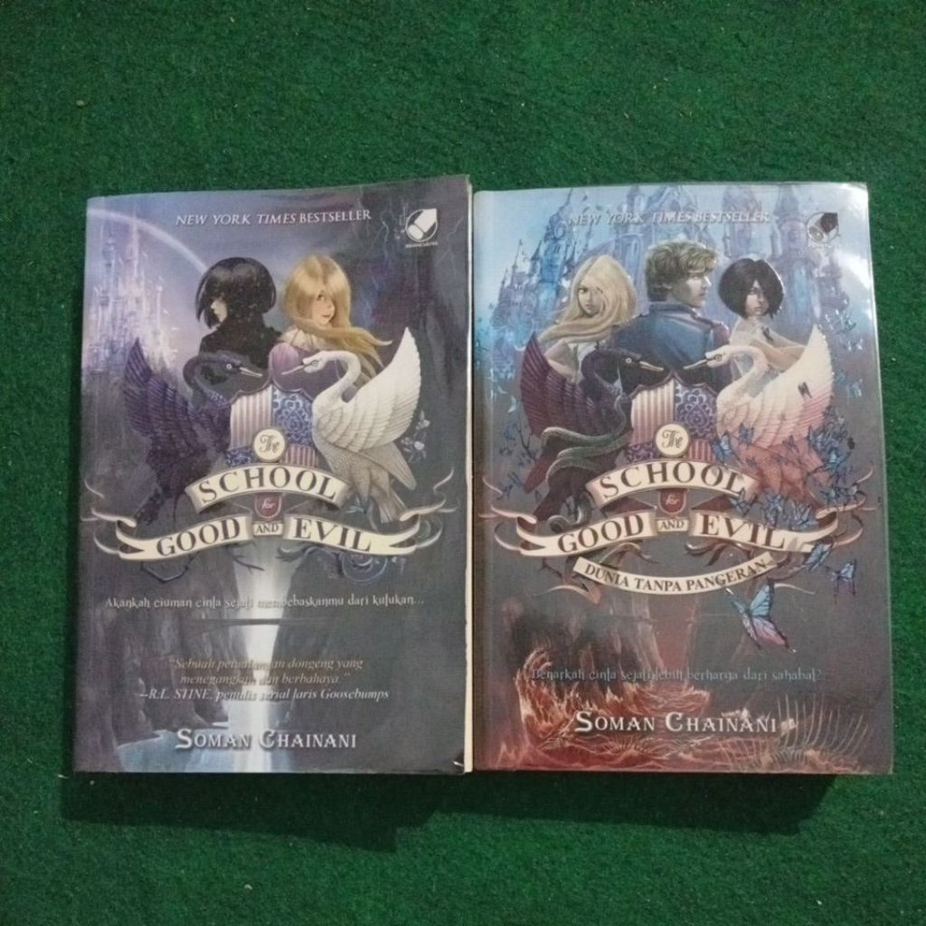 Novel Bekas School for Good and Evil