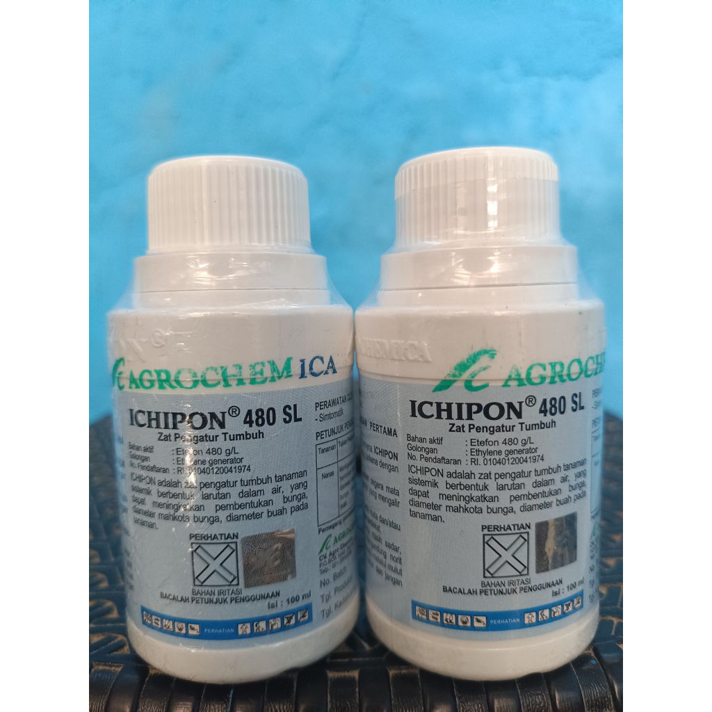 ICHIPON 480 SL 100ML