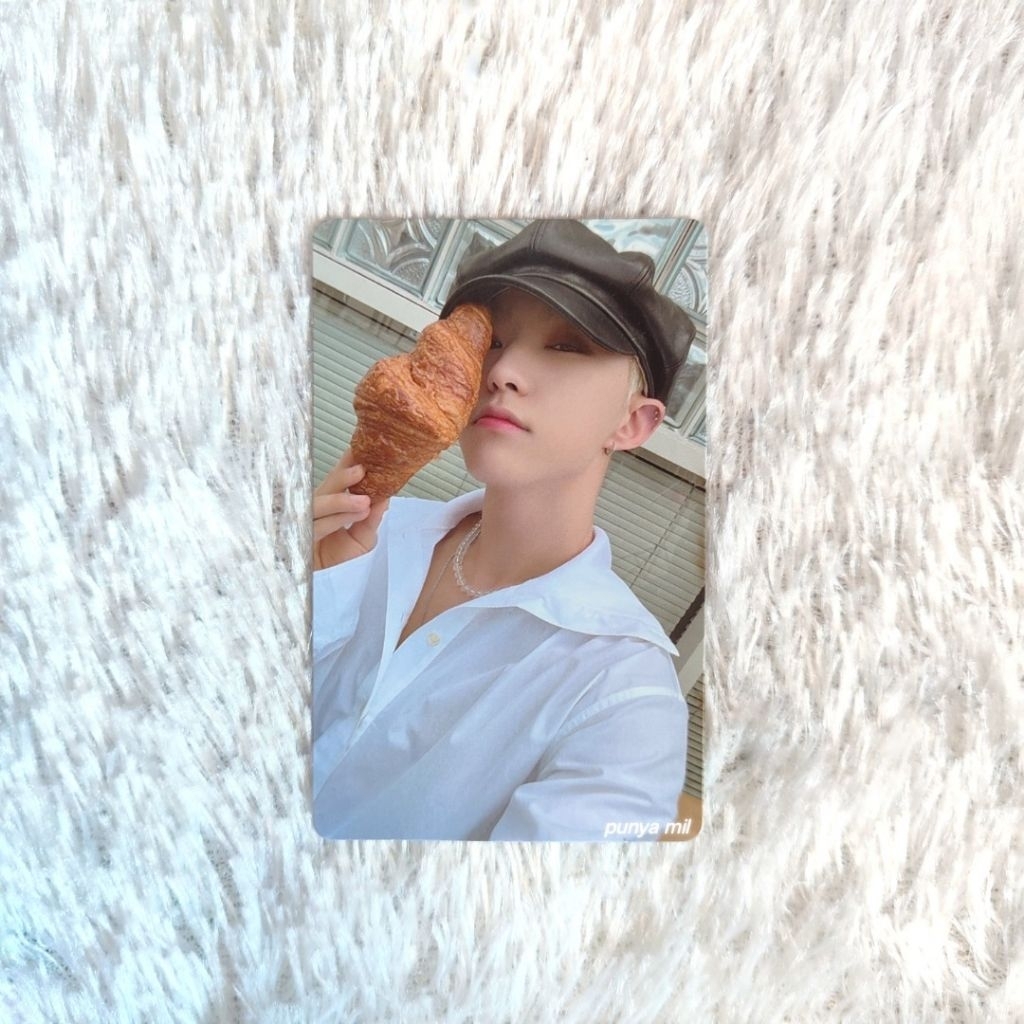 photocard hoshi croissant sector 17 seventeen official