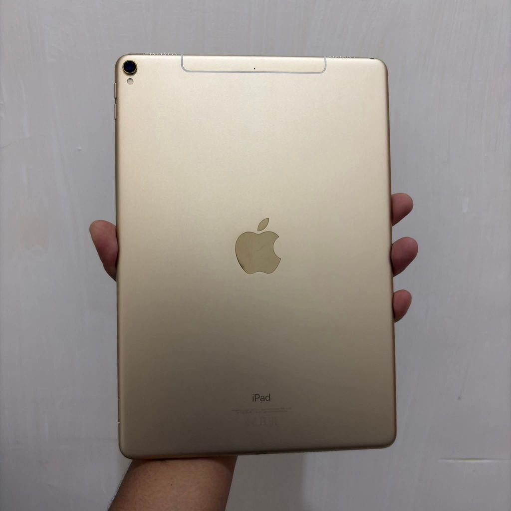 iPad pro 10,5 inch 2017 cell ibox 64gb unit only