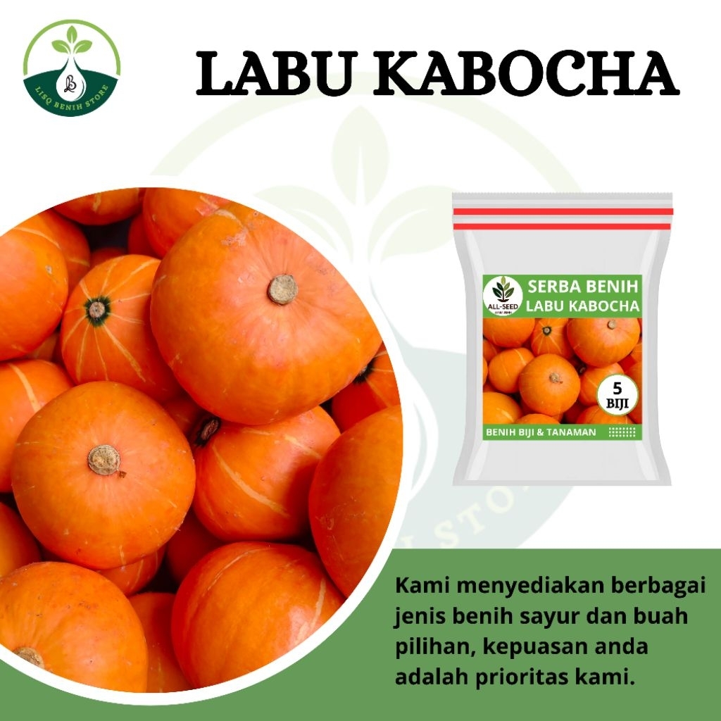 { 5 BIJI } Benih Labu kabocha / labu jepang / bibit kabocha / labu madu kabocha