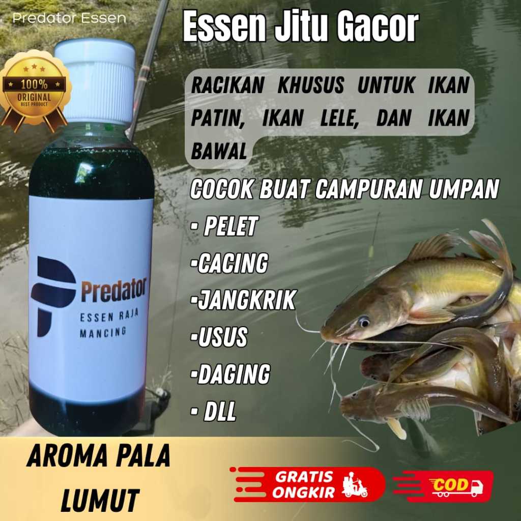 PREDATOR ESSEN PALA LUMUT  100 % pemikat ikan Mas super Nila Mujair mujaer  lele super babon Esen ca