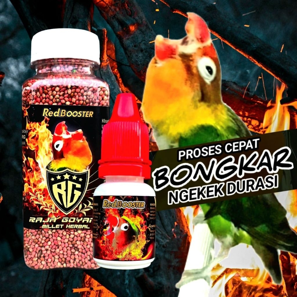 1 PAKET PAKAN DAN OIL RED_BOOSTER RAJAGOYANG,TERCEPAT MENGGACORKAN SAMPAI TITIK GACOR/PENGGACOR LB/V