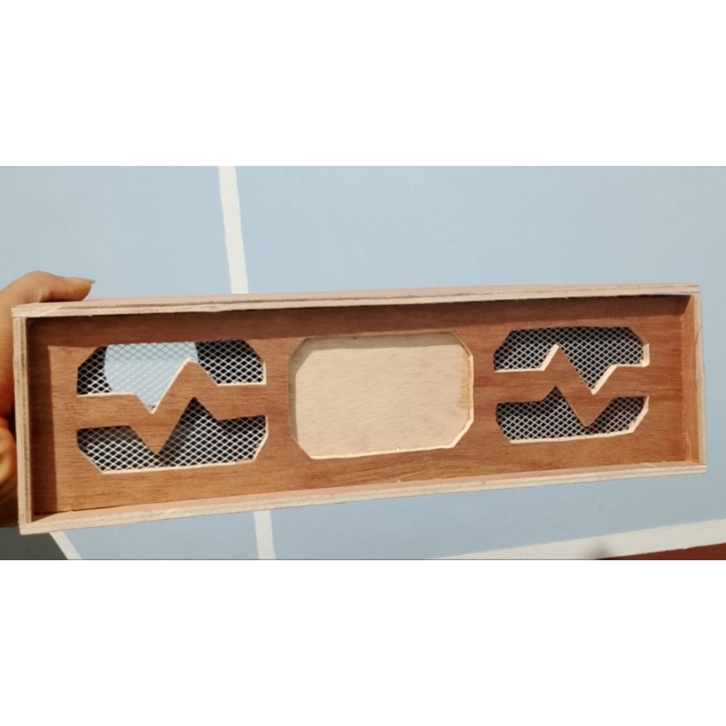 Box Power Amplifier Terbaru Miniatur 5A Kecil Phase Lab Ashley