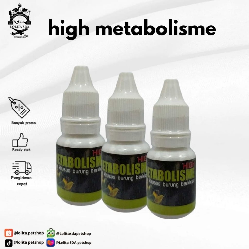 High metabolisme khusus burung berkicau