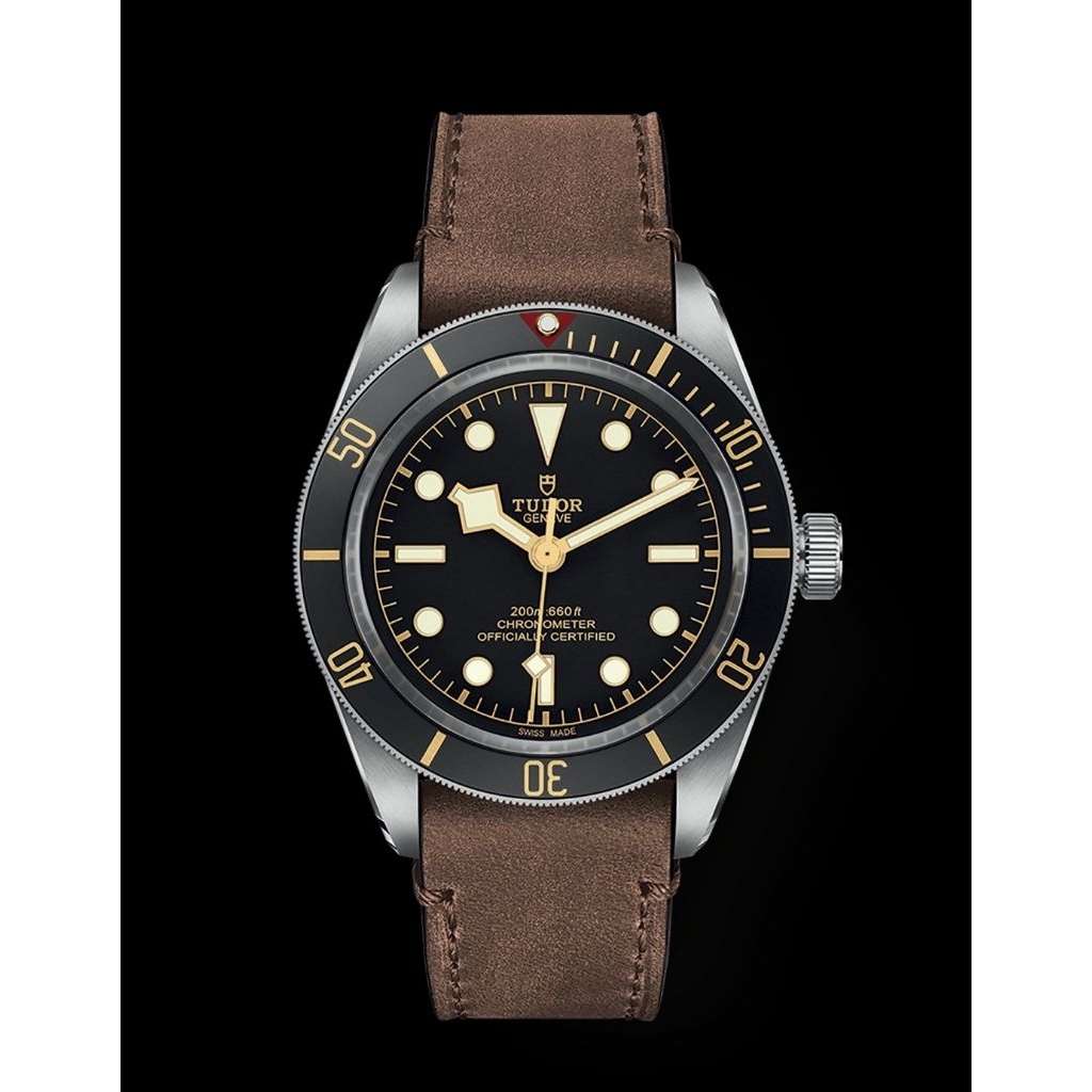 Tudor Black Bay 58 M79030N-0002