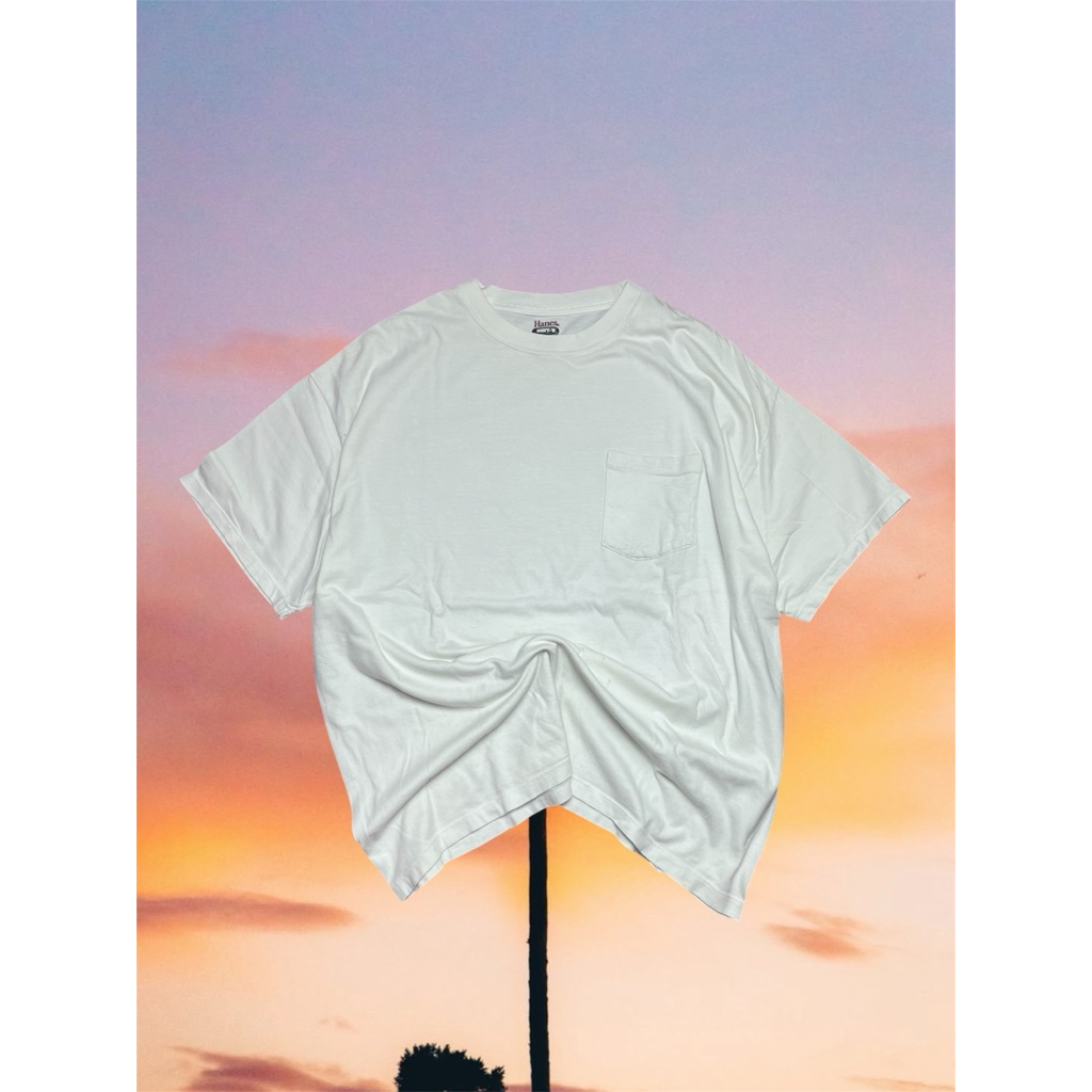 kaos polos puth tag hanes build up