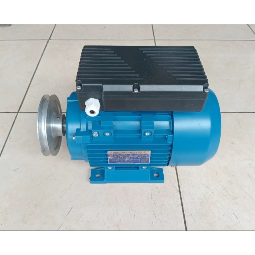 Motor/Dinamo Alliance Motori 2HP 220V 50Hz 1400RPM