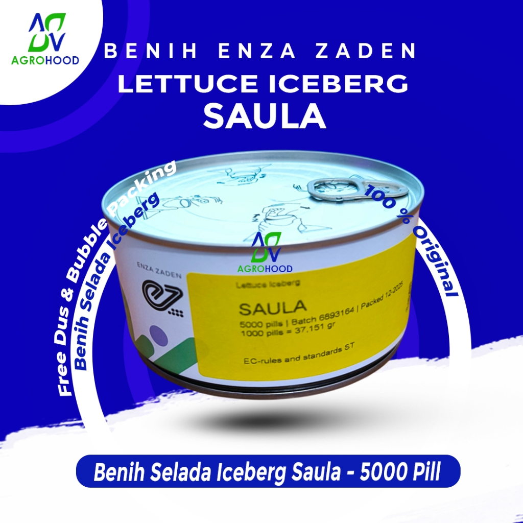 Benih Selada Iceberg SAULA Kemasan 5000 Pill - Enza Zaden