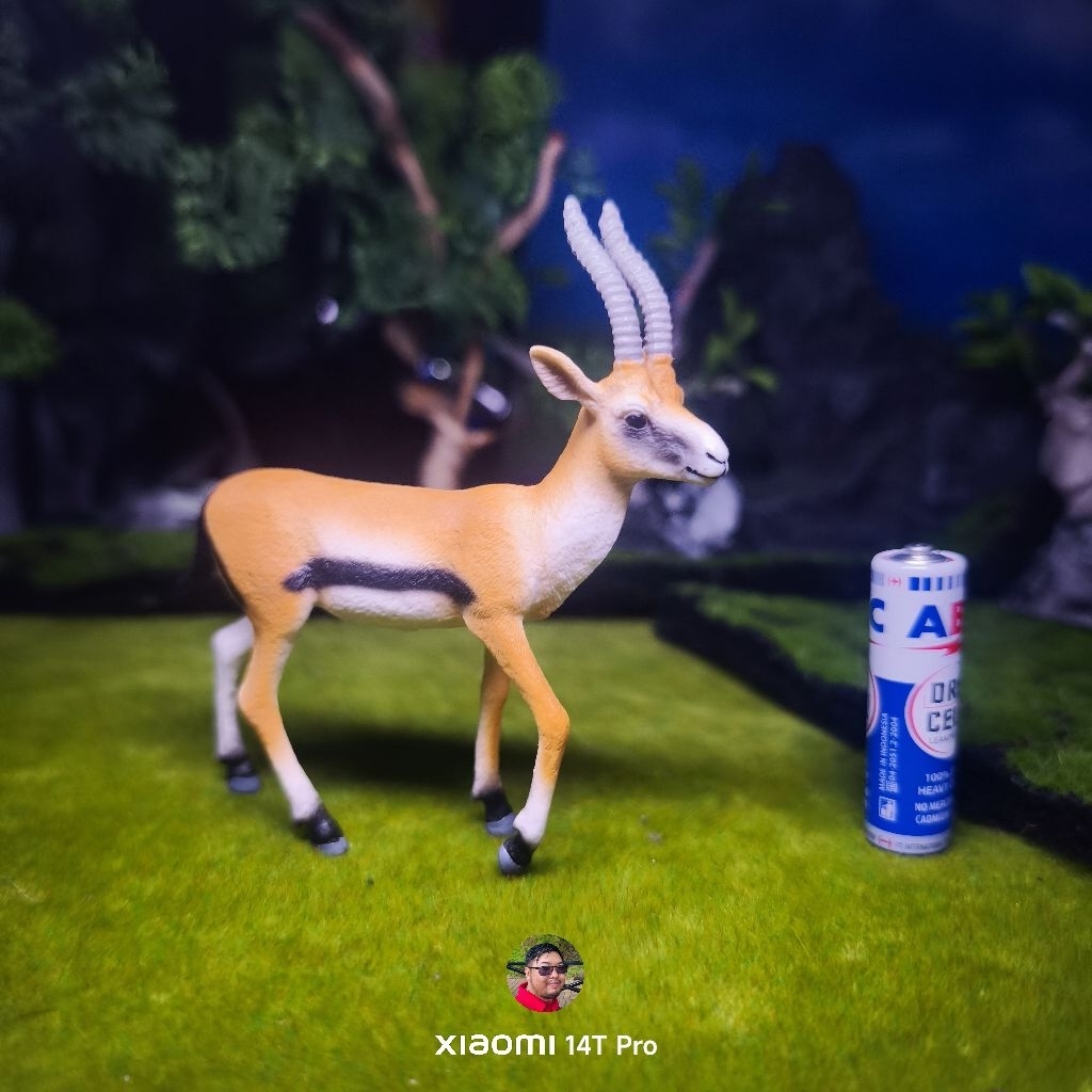 Schleich 2022 Thomson Gazelle figure