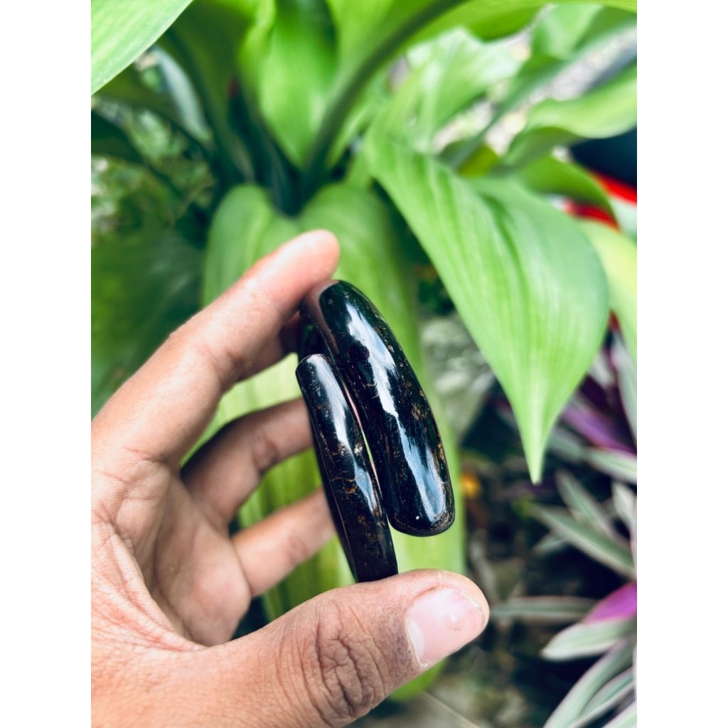 akar bahar tali arus