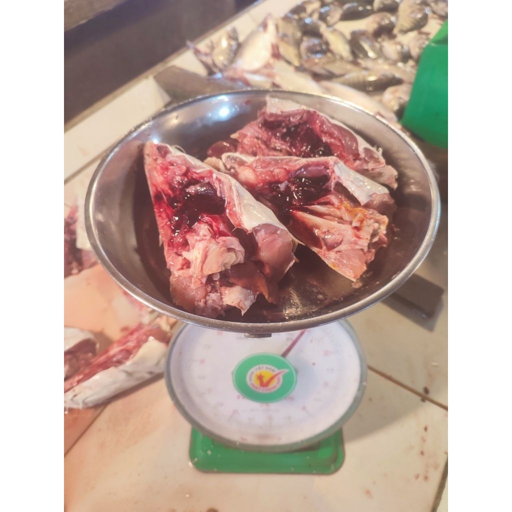 Kepala Ikan Baung Laut 1kg