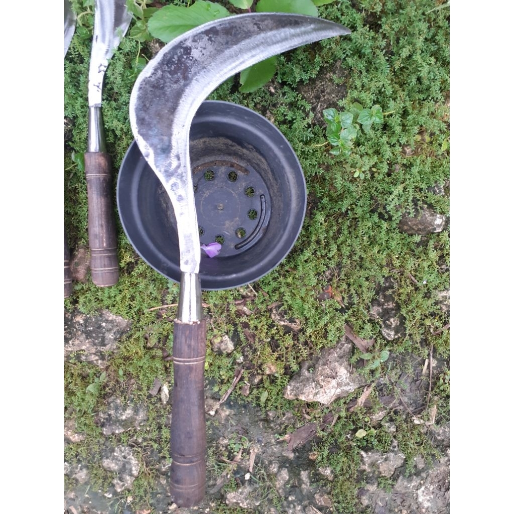 sabit rumput super tajam bahan baja pir asli