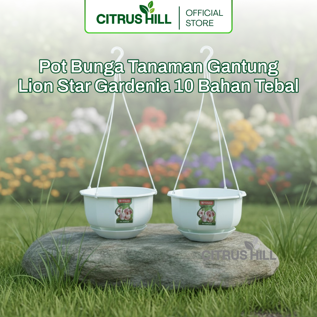 Pot Bunga Tanaman Gantung Gardenia 10 Lion Star