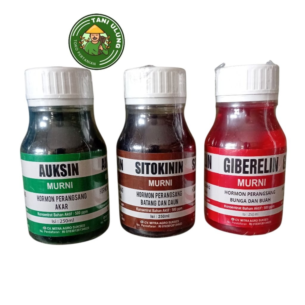ZPT AUKSIN SITOKININ GIBERELIN KEMASAN 250 ML
