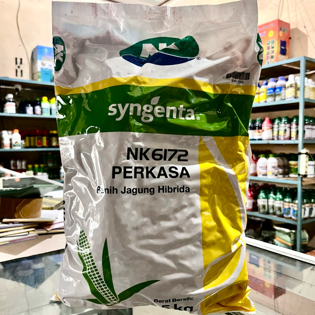 Bibit Jagung NK Perkasa 5Kg Original – Benih Jagung Berkualitas Tinggi