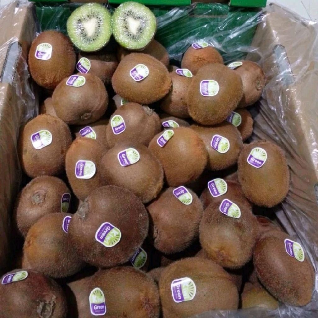 Buah kiwi green super fresh kiwi hijau import super segar 1 kg