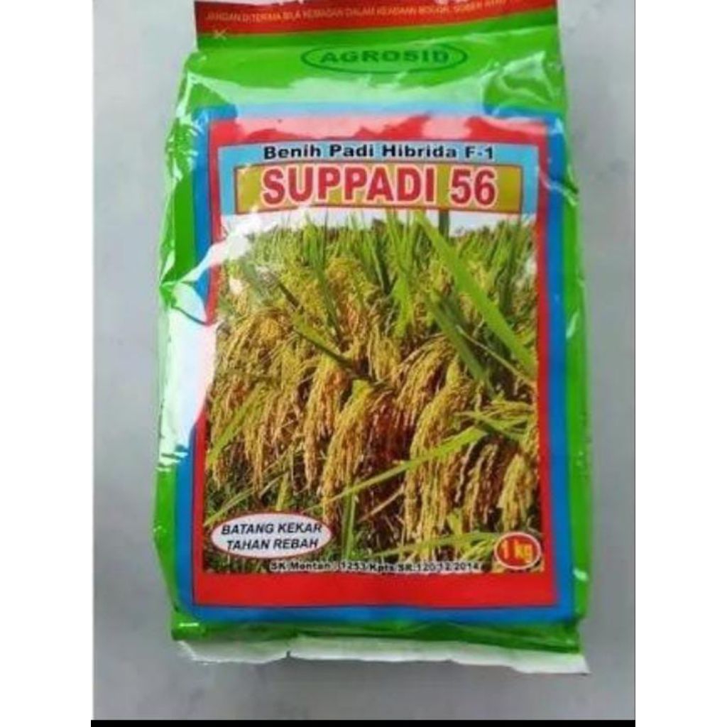 BENIH PADI UNGGUL BERKUALITAS SUPER SUPPADI 56 KEMASAN 5 KG