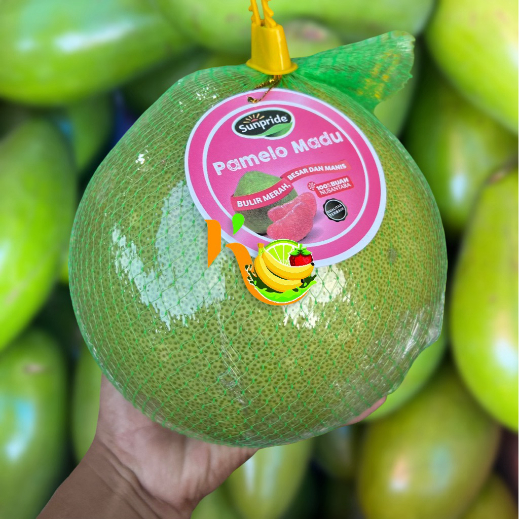 Jeruk Bali Pamelo Madu