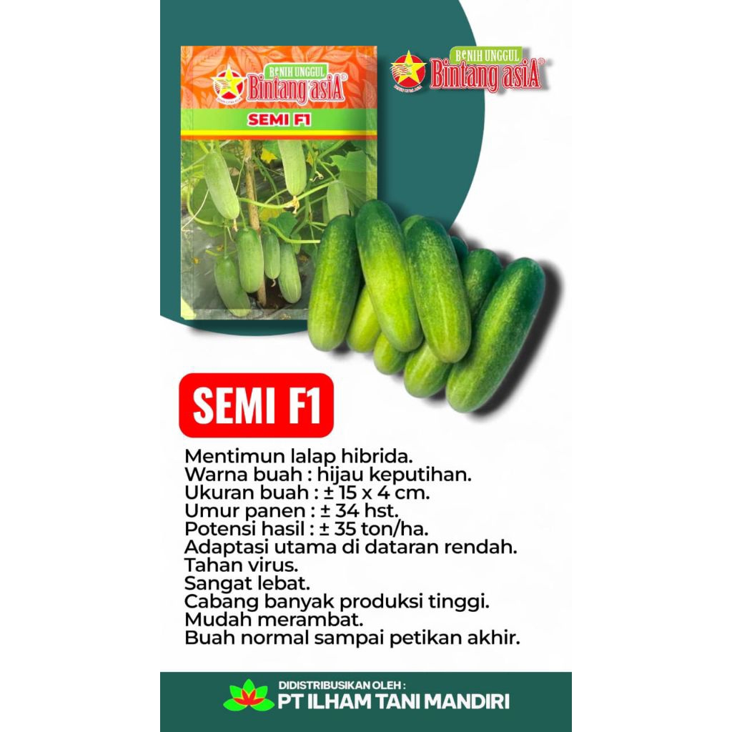 Semi F1 20gr