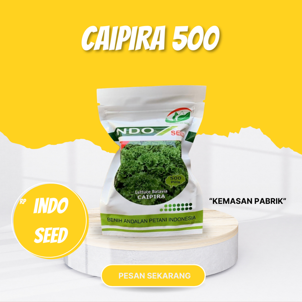 Caipira benih selada batavia indo seed kemasan 500 Pills original pabrik