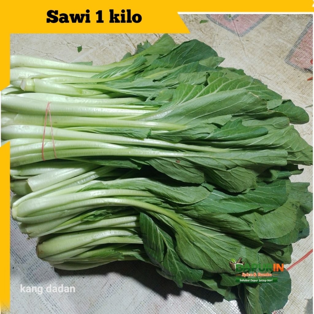 Sawi Segar Fresh | Sayur Sawi Hijau untuk Tumis & Mie