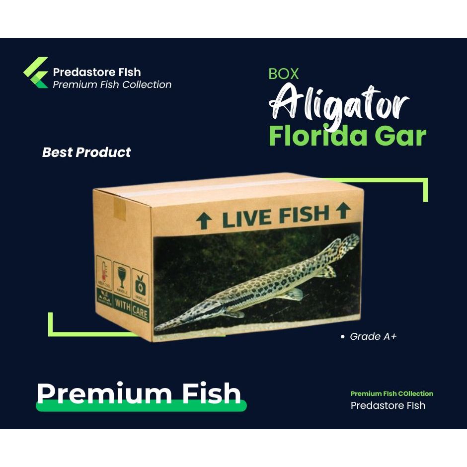 BOX Kardus Florida Gar - 100% Garansi Pengiriman