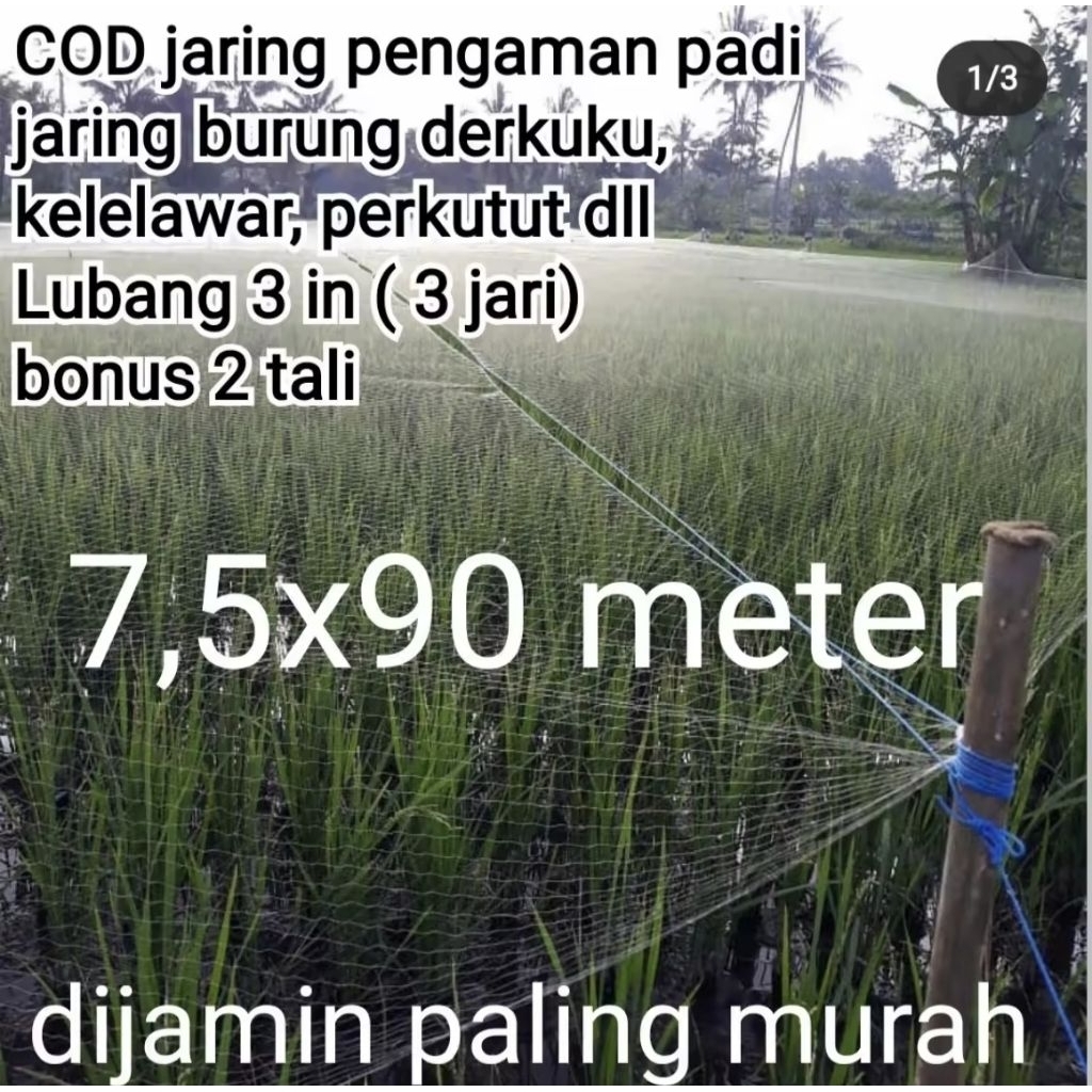 Jaring burung jaring padi lubang 3 inci bonus 2 tali untuk burung seperti mandar belibis, derkuku, k