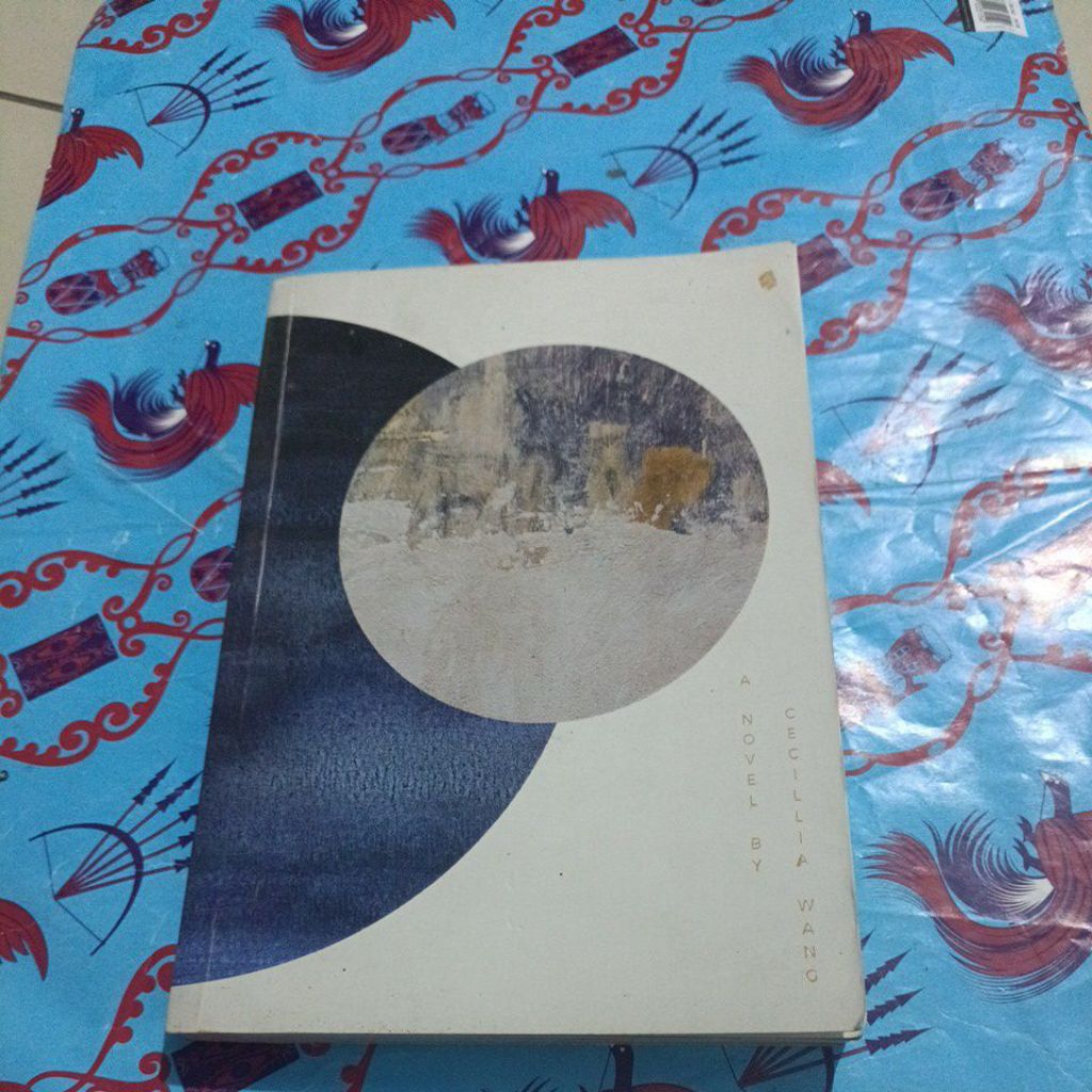 Novel Cecellia Wang - The Sentimental Reasons