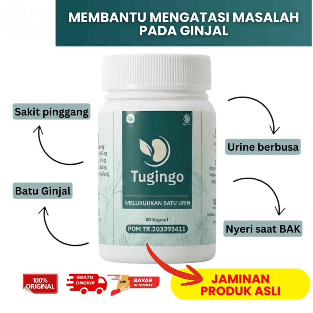 TUGINGO Obat Herbal Ginjal - Peluruh Batu Urin & Ginjal - Kapsul Kesehatan Ginjal Isi 30 Kapsul