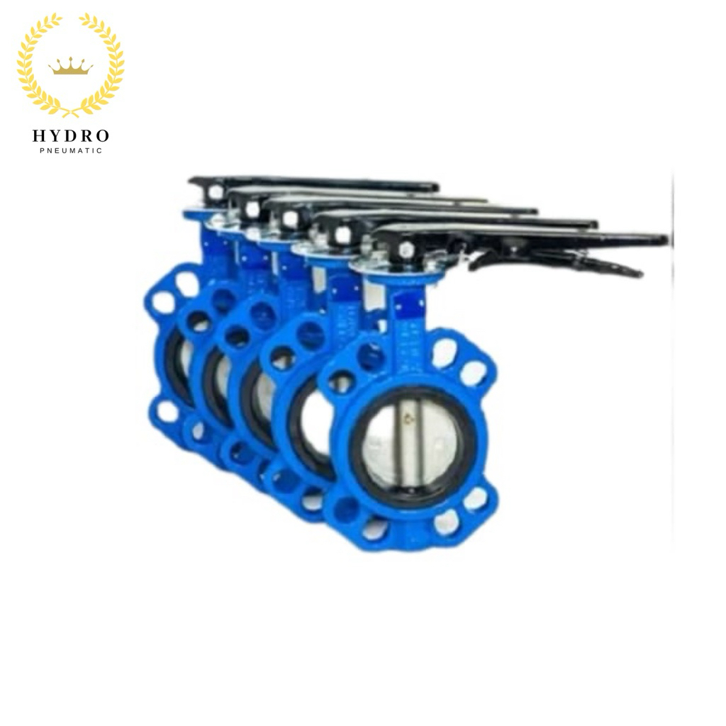 Butterfly Valve 10”Inch Cast Iron