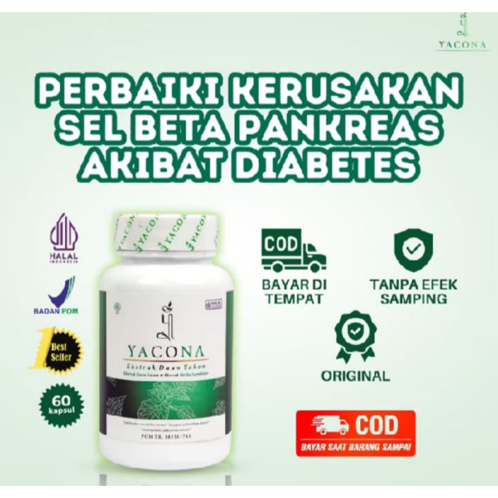 Yacona asli original isi 60 kapsul ampuh sembuhkan pankreas - diabetes