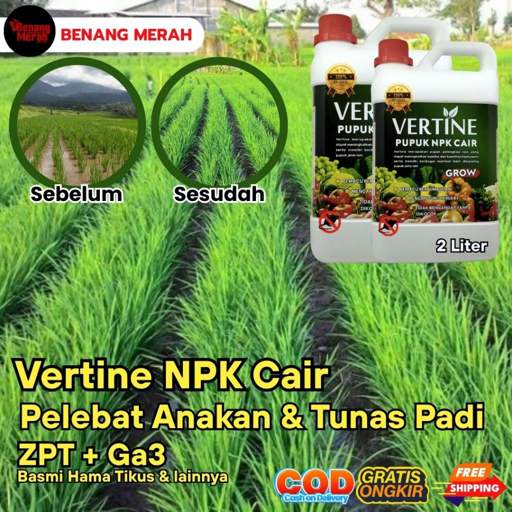 Vertine Grow Pupuk NPK Cair Cocok Untuk Tanaman Padi Perbanyak Anakan Padi Bulir Padi Berbobot