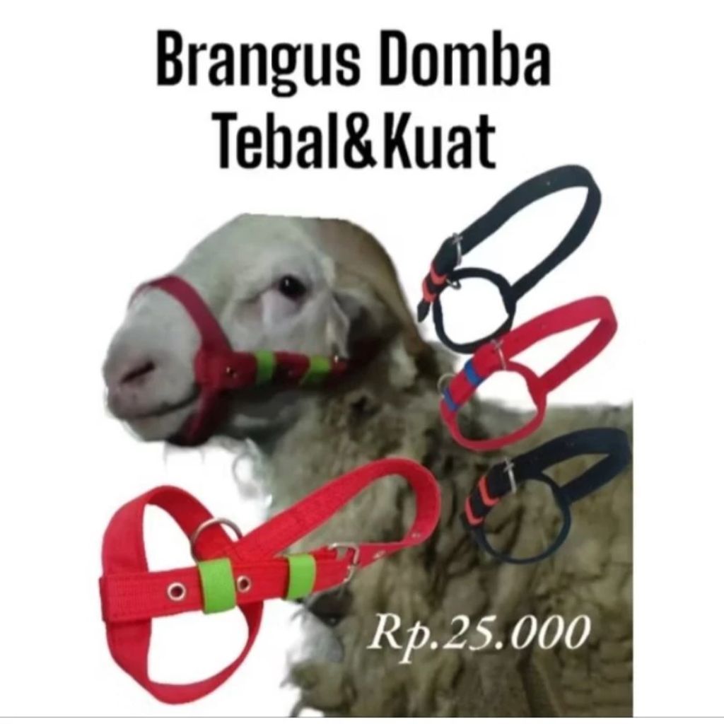 Head Halter Brangus Domba Kambing Kualitas Bagus