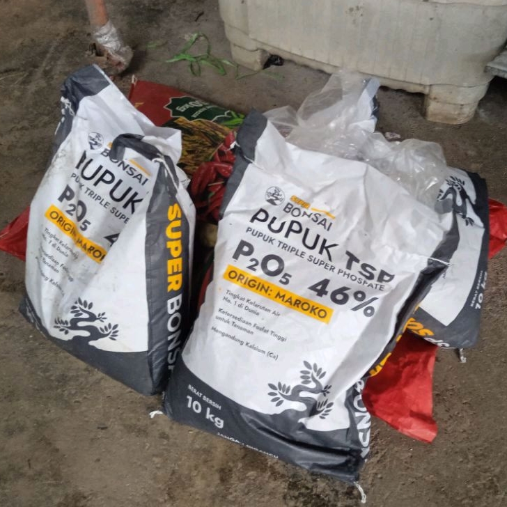 Pupuk TSP46 Super Bonsai ukuran 10kg - Kandungan P2O5 minimal 46%