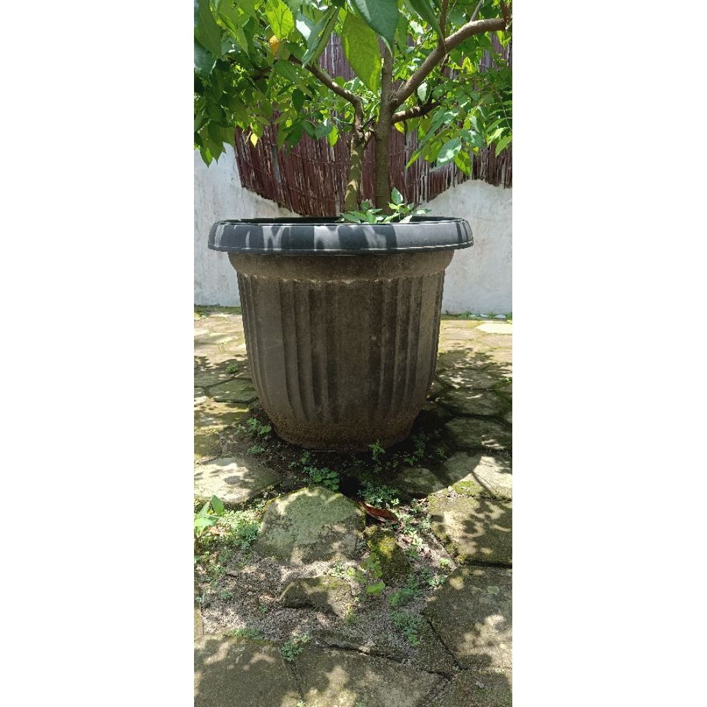 Pot Tanaman Besar Minimalis
