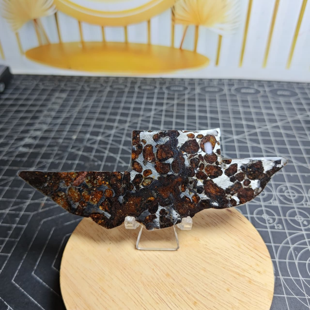 Natural Pallasite kenya Sericho Olive Meteorite Slab / Slice (4)