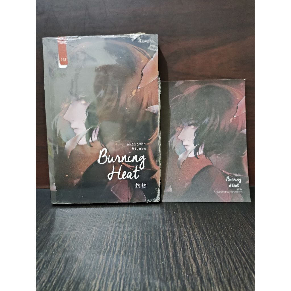 Novel J-lit | Burning Heat by Akiyoshi Rikako (preloved)