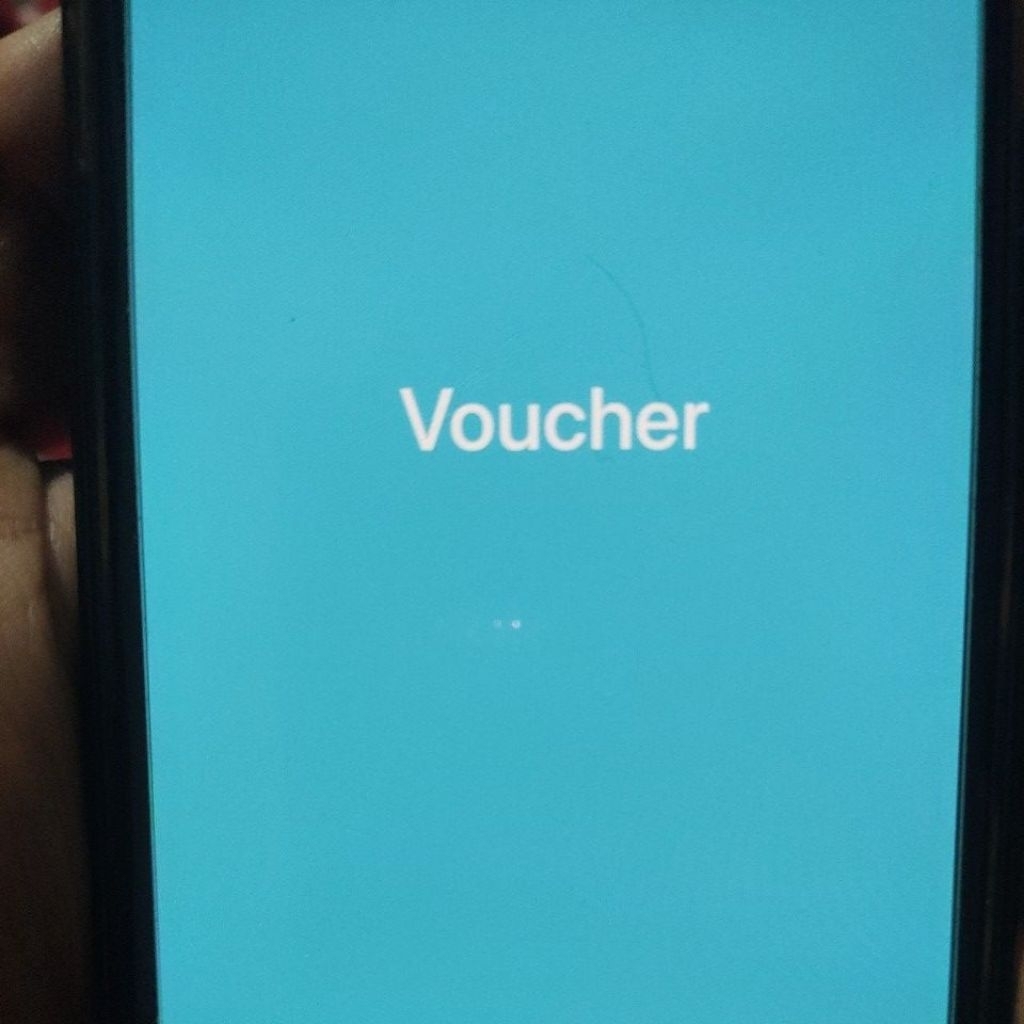 voucher data