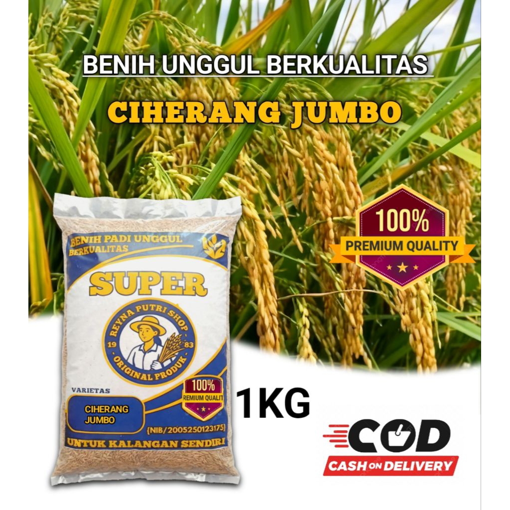 benih padi ciherang jumbo kemasan 1kg