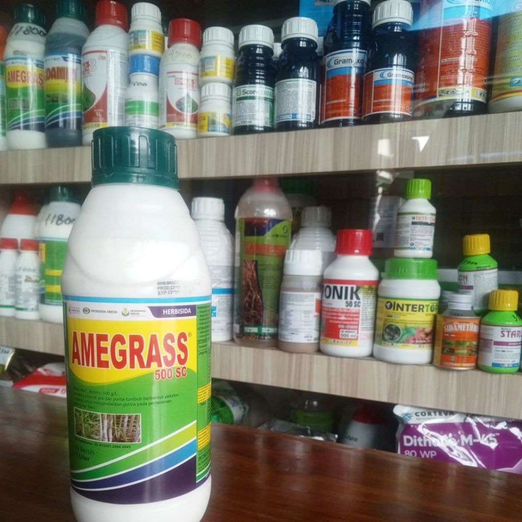 AMEGRAS 500SC 1000ml