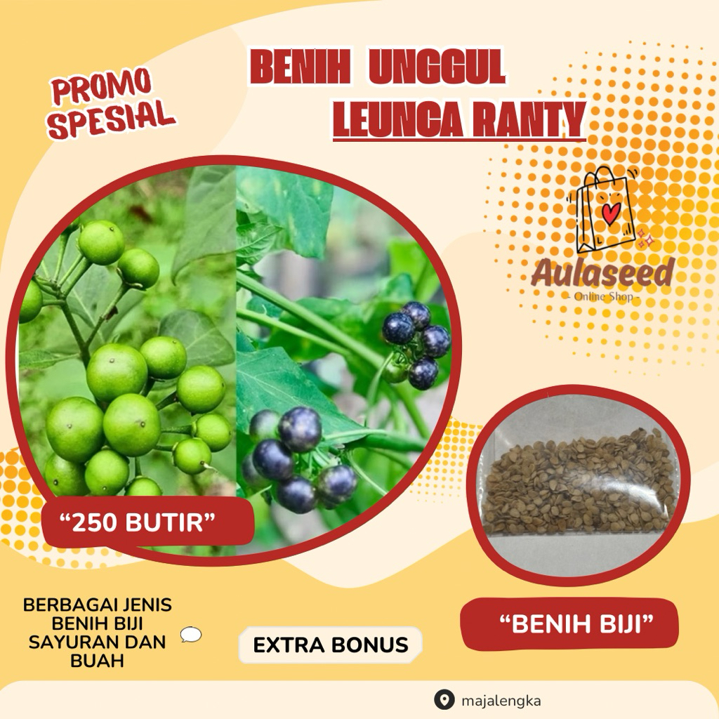 Benih Leunca Ranti(250 Butir) Benih Leunca Ranti Mudah Tumbuh Mudah Berkecambah> Extra Bonus